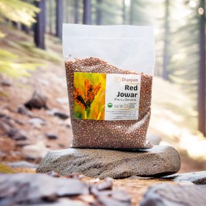 Organic Red Jowar | Organic Red Cholam | Organic Red Great Millet
