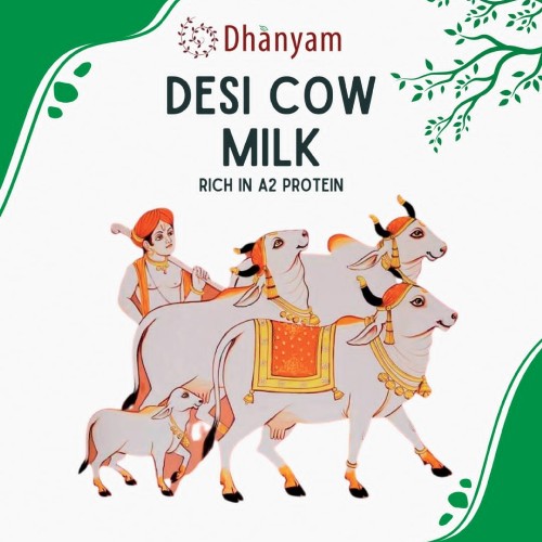 Organic Desi Cow Milk - Image 2