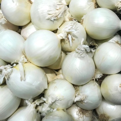 Organic White Onion - Image 2