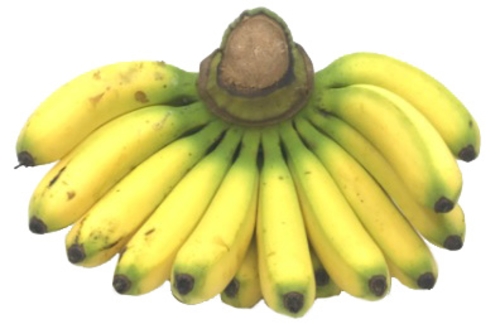 Organic Banana Yelakki