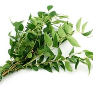 Organic Curry Leaves | Organic Greens Karuvepillai