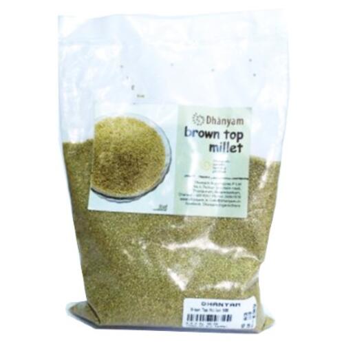 Brown Top Millet - Image 5