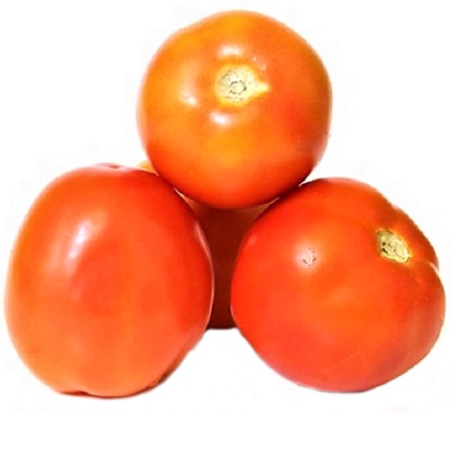 Organic Tomato Bangalore
