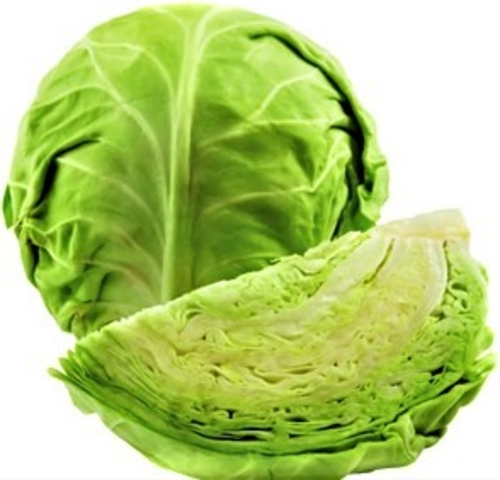 Organic Cabbage Green | Organic Kos