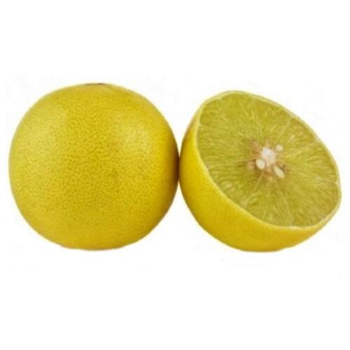 Organic Lemon