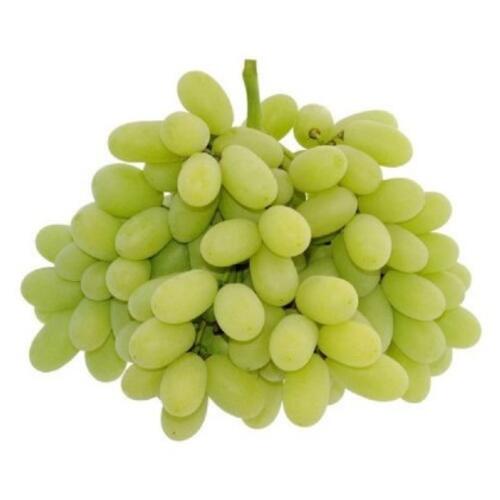 Organic Grapes Green Seedless