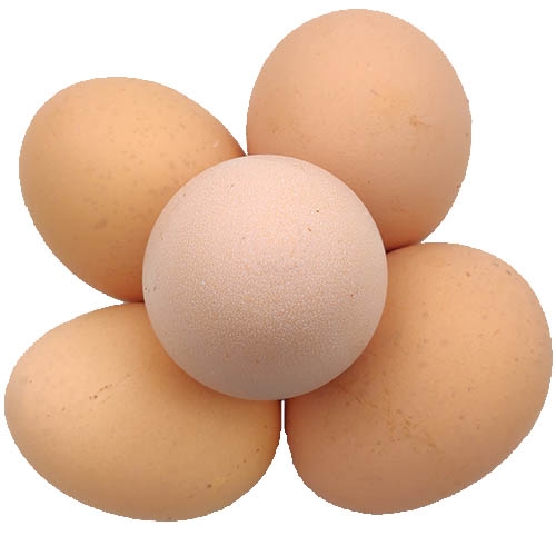 Organic free range country egg