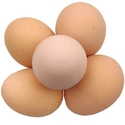 Organic free range country egg - Image 2
