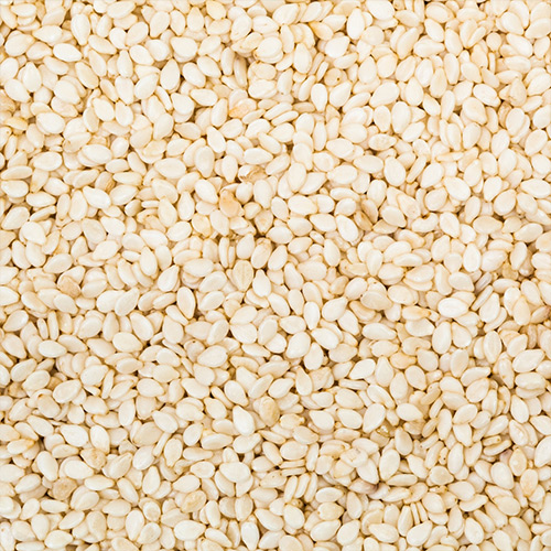 White Sesame | Vellai Ellu - Image 4