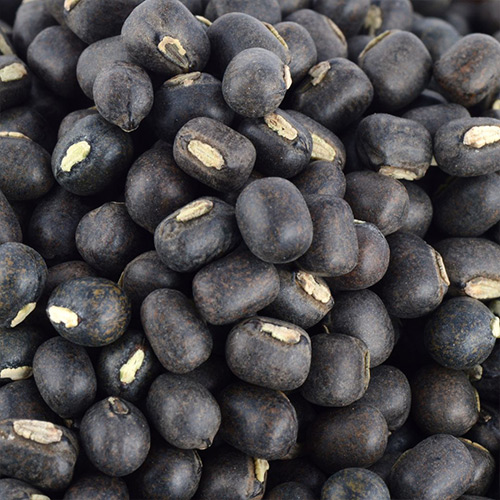 Organic Urad Dal Black - Image 3