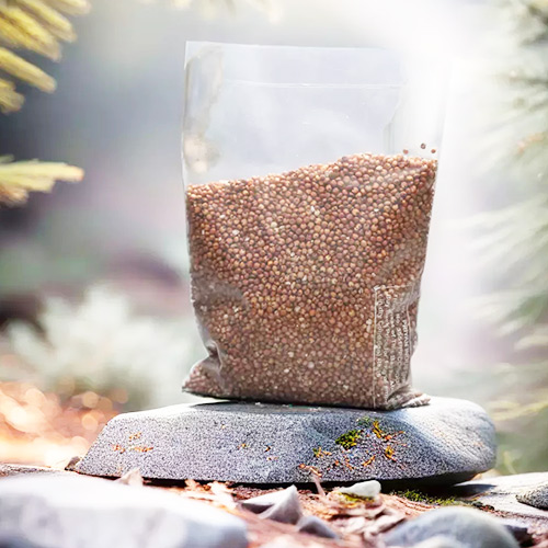 Organic Red Jowar | Organic Red Cholam | Organic Red Great Millet - Image 2