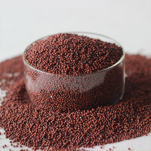 Ragi | Kezhvaragu | Madua | Finger millet - Image 3