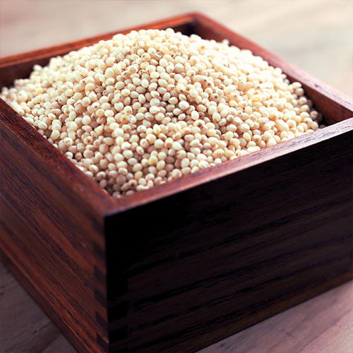 Varagu Polished | Kodo Millet Polished | Kutki Polished - Image 3