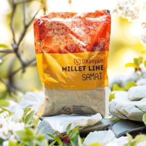 Samai Polished | Little Millet Polished