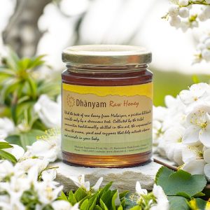 Organic Raw Honey | Forest Collected Wild Honey