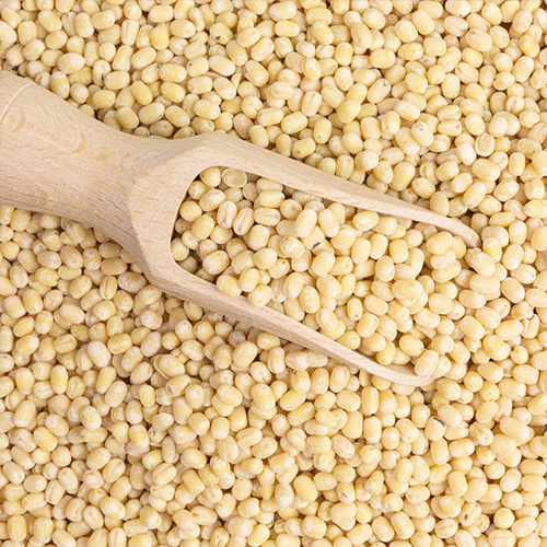 Organic Urad Dal Powder - Image 4