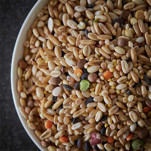 Organic Multi Grain Atta - Image 5