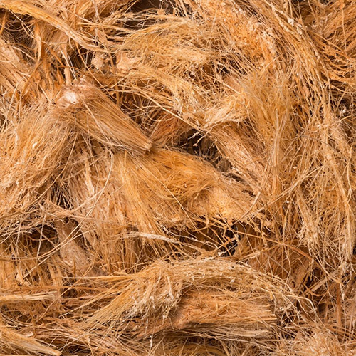 Coir Scrub - Image 3