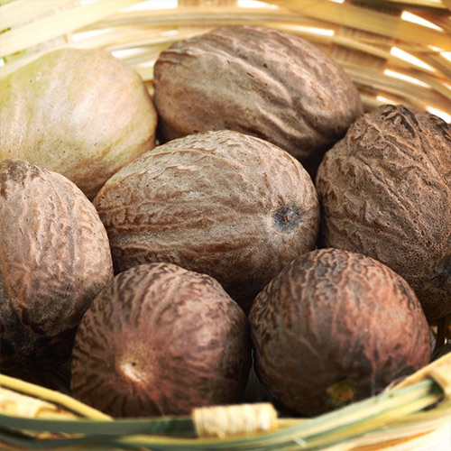 Organic Nutmeg - Image 2