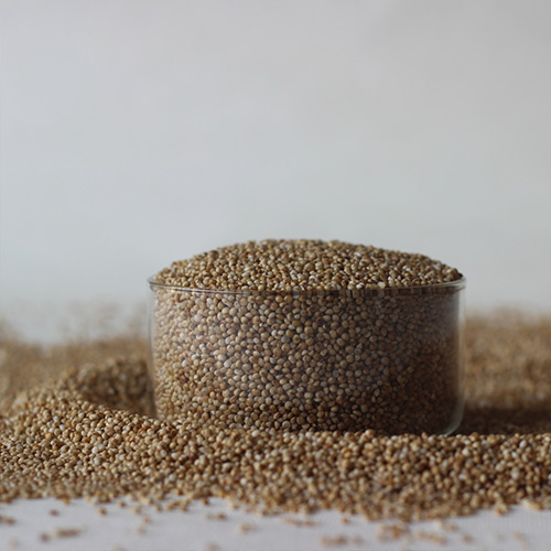 Brown Top Millet - Image 4