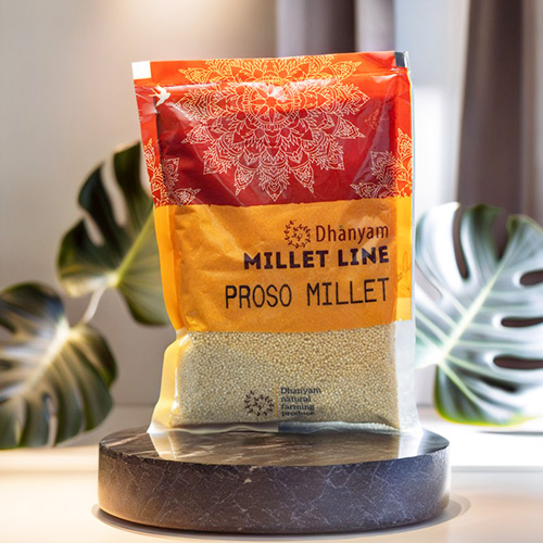 Proso Millet | Panivaragu