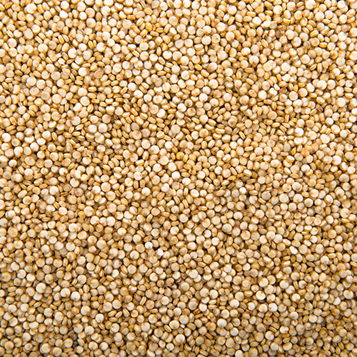 Bajra | Kambu | Pearl Millet - Image 3