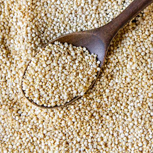 Bajra | Kambu | Pearl Millet - Image 4