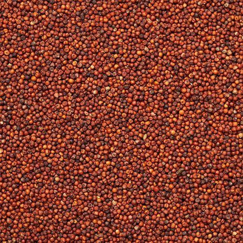 Organic Ragi Dosa Mix - Image 3