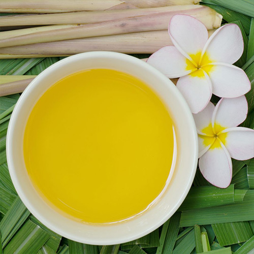 Citronella Oil - Image 4