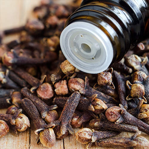 Clove Oil - Image 3