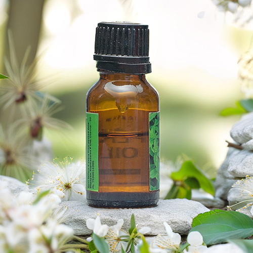 Peppermint Oil - Image 4