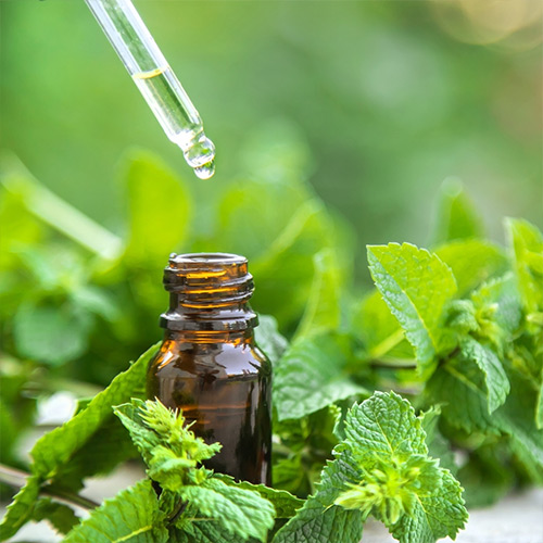 Peppermint Oil - Image 5