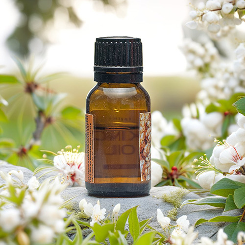 Frankincense Oil - Image 4