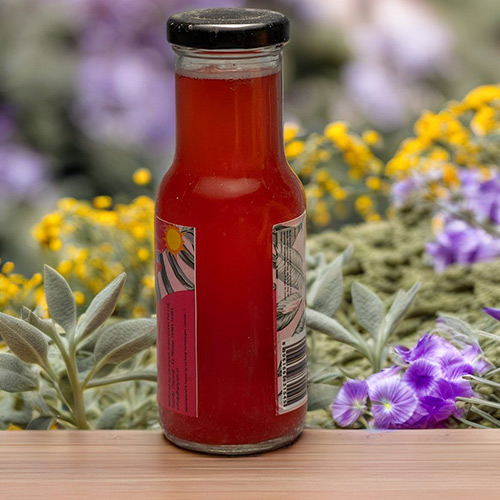 Organic Hibiscus Kombucha - Image 2