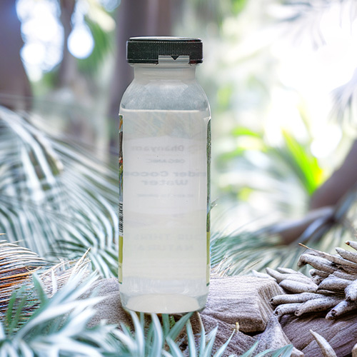 Organic Tender Coconut Water | Organic Elaneer - Image 2