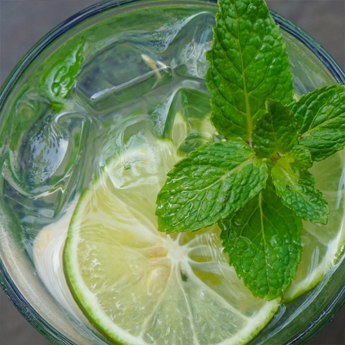 Lemon Mint Squash with Jaggery - Image 2