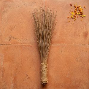 Coconut tree stick broom | Thennan Thodappam