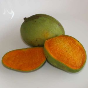 Organic Mango Chankarakatti