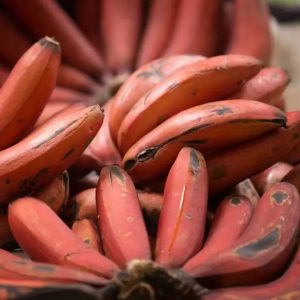 Banana Red