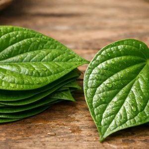 Betel Leaves