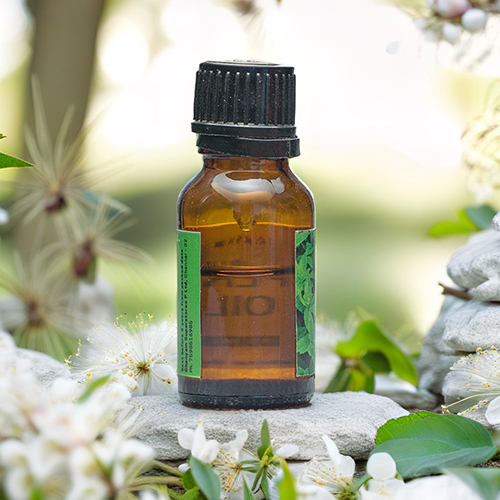 Peppermint Oil - Image 2