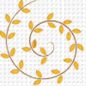 Coconut tree stick broom | Thennan Thodappam