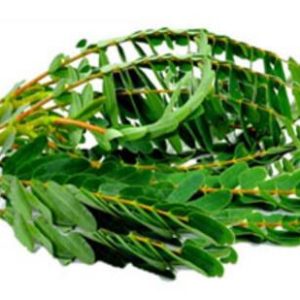 Organic Greens Agathi Keerai