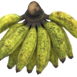 Organic Banana Hill | Organic Malai Vazhai Pazham