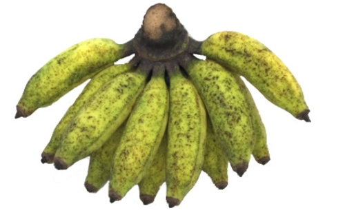 Organic Banana Hill | Organic Malai Vazhai Pazham