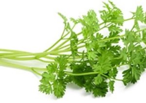 Organic Greens Coriander | Organic Kothumalli