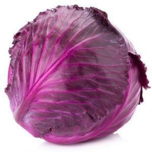 Organic Cabbage Red | Organic Kos Red