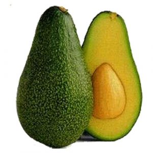 Organic Avocado