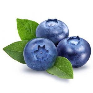 Organic Fresh Blue Berry