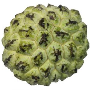 Organic Custard Apple | Organic Seetha Pazham